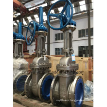 CF8m 316 14" Class150 Gear Gate Valve (Z41R-150LB-14")